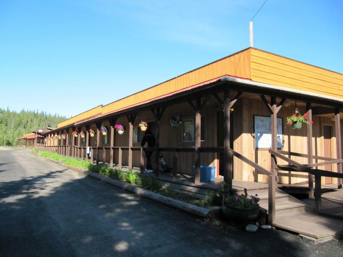 White Moose Lodge Healy Exterior photo